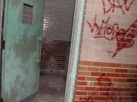 Chicago Ghost Hunters Group investigates Manteno Asylum (44).JPG